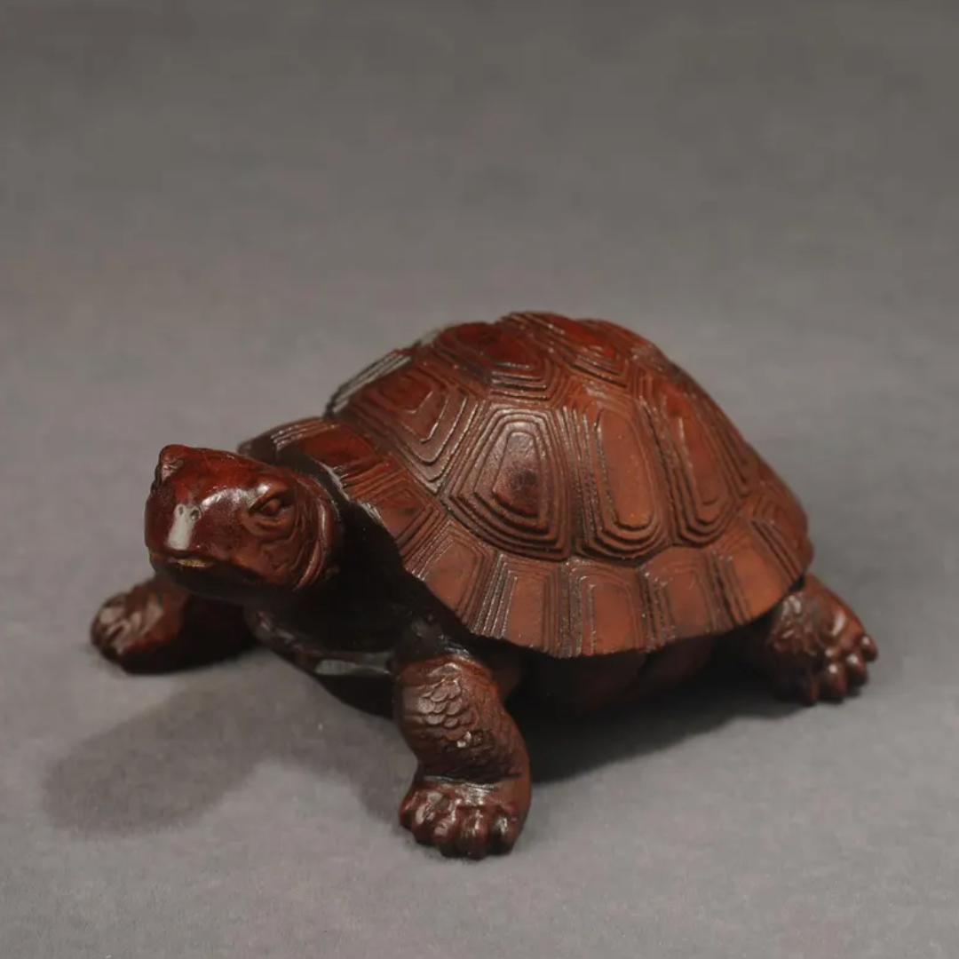 Japanese Showa Turtle