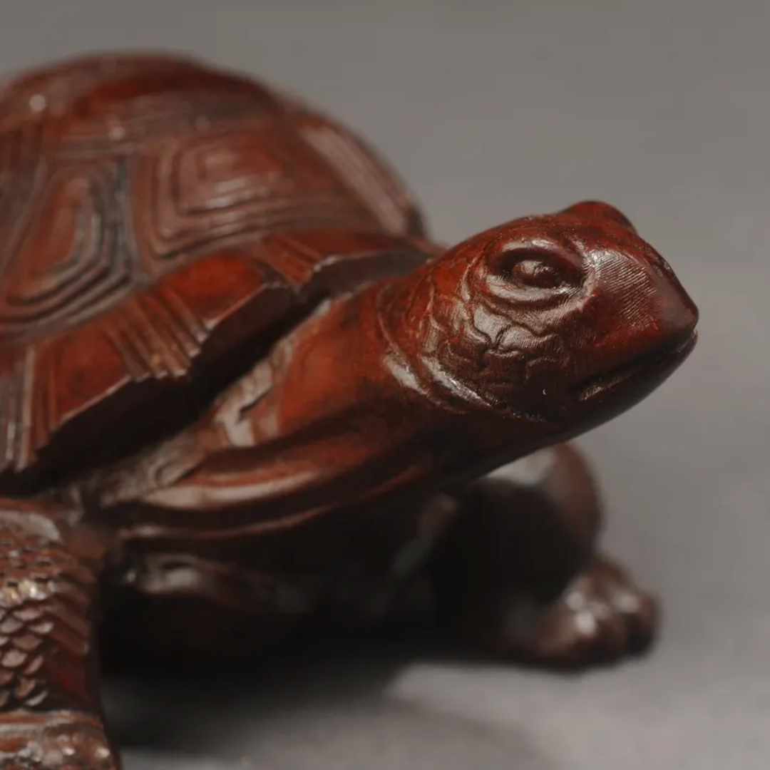 Japanese Showa Turtle