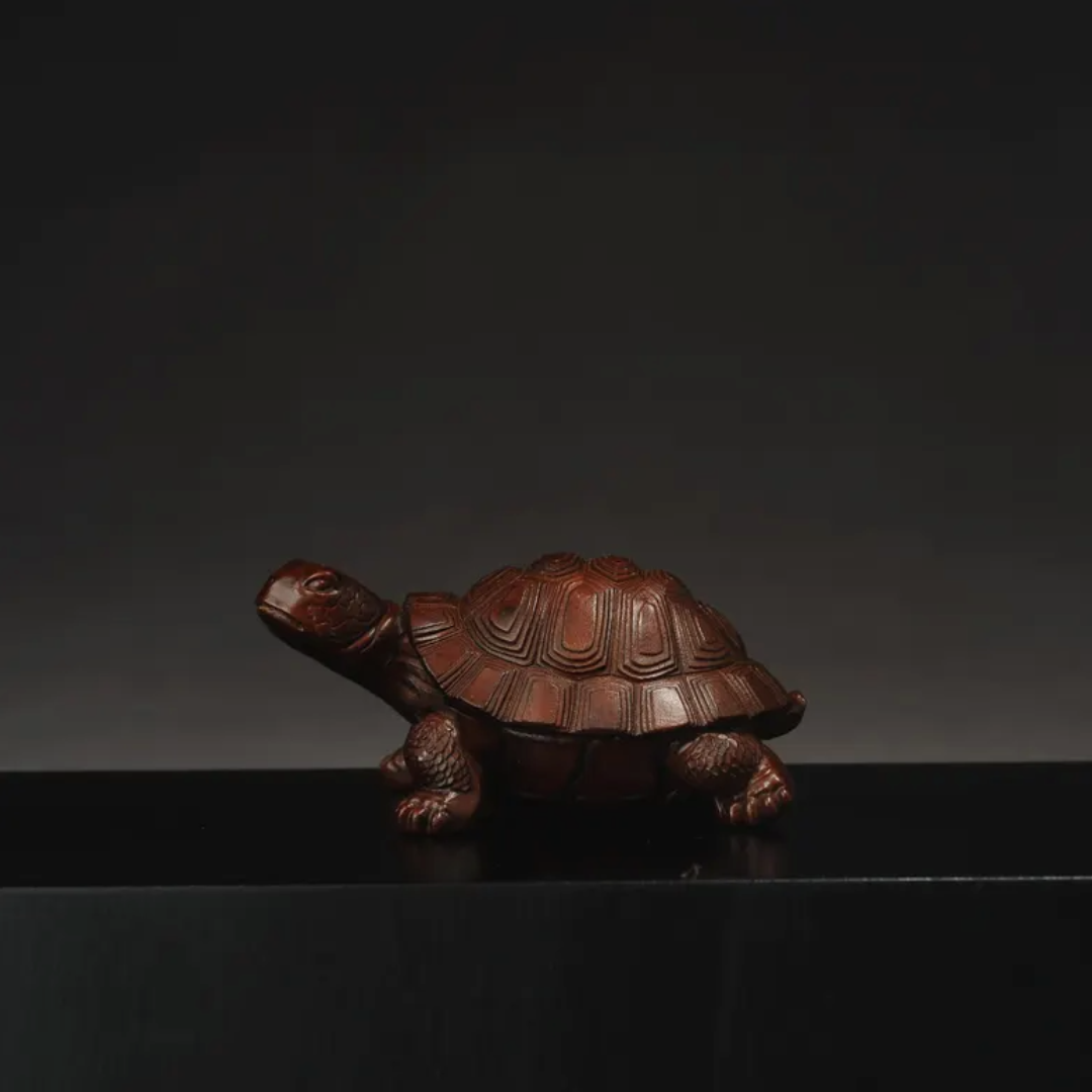 Japanese Showa Turtle