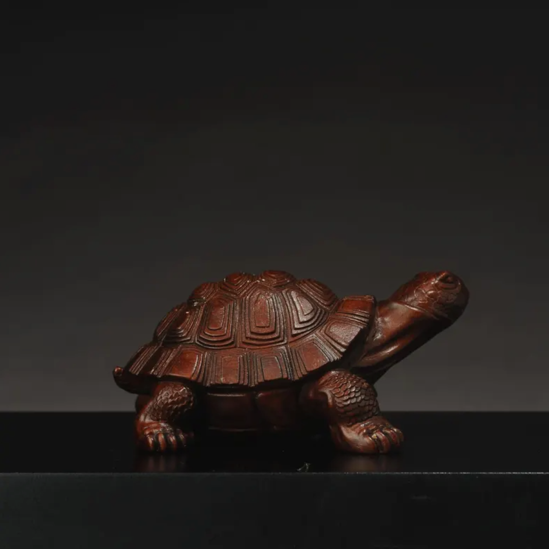 Japanese Showa Turtle